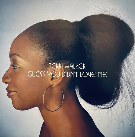 Terri Walker – Guess You Didn't Love Me Def Soul – 0779961