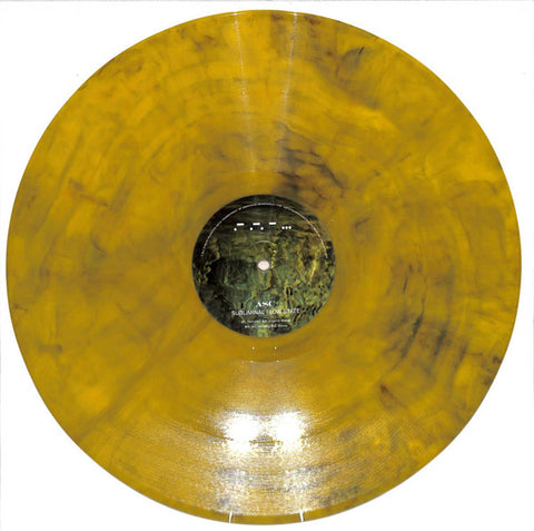 ASC – Subliminal Flow State Arts Transparent – ARTSTRANSPARENT012