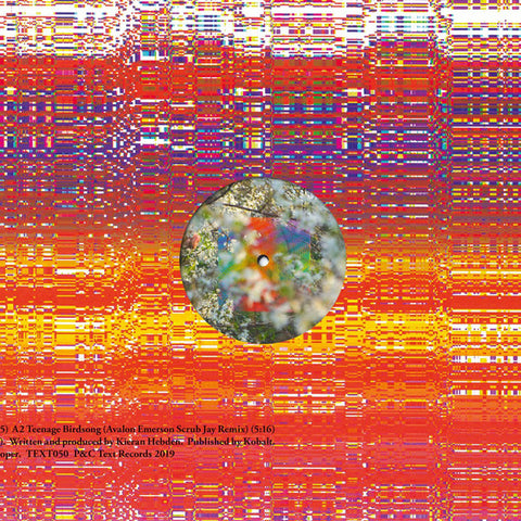 Four Tet ‎– Teenage Birdsong Label: Text Records ‎– TEXT050