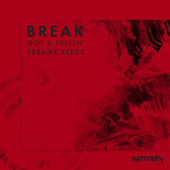 Break ‎– Got A Feelin' / Sesame Seeds - Symmetry Recordings ‎– SYMM030