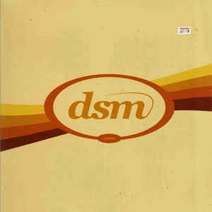 Data & Kingsin ‎– The Visitor / Baggage DSM ‎– DSM 014