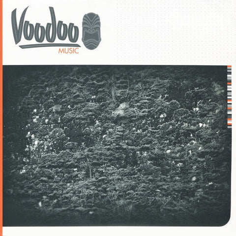Raiden - Forbidden Fruit / Bogota 12" VOOMUSIC004 Voodoo Music
