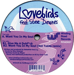Lovebirds, Stee Downes - Want You In My Soul 12" ROAD027 Winding Road Records