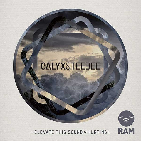 Calyx, TeeBee - Elevate This Sound / Hurting 12" RAMM120 RAM Records