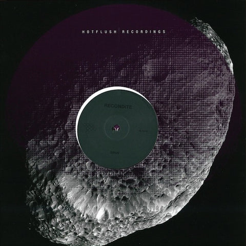 Recondite ‎– DRGN / Wist 365 12" Hotflush Recordings ‎– HFT025