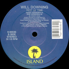 Will Downing - Test Of Time 12" 096530 Island Records