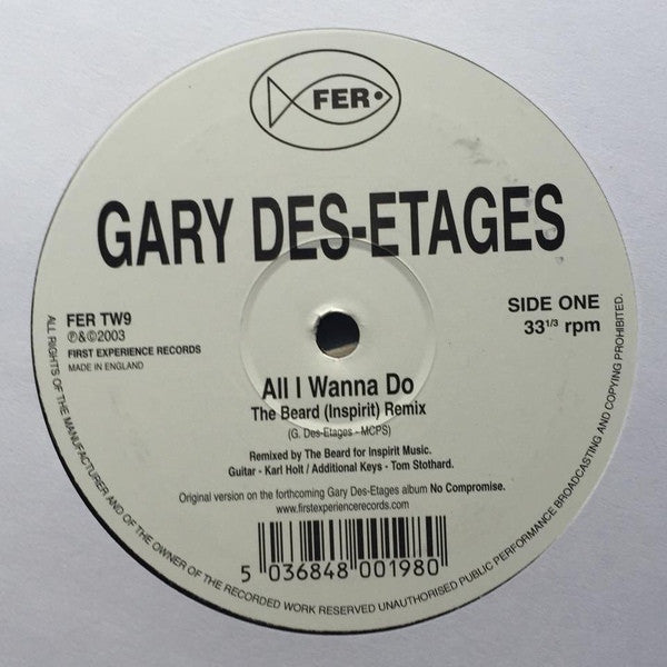 Gary Des Etages - All I Wanna Do 12" First Experience Records ‎– FER TW9
