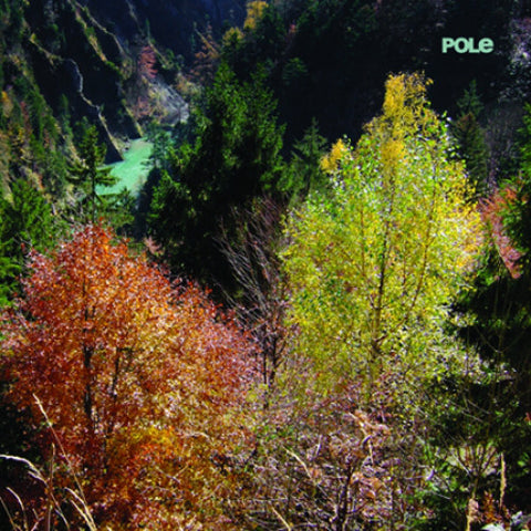 Pole ‎– Wald Pole ‎– PL13