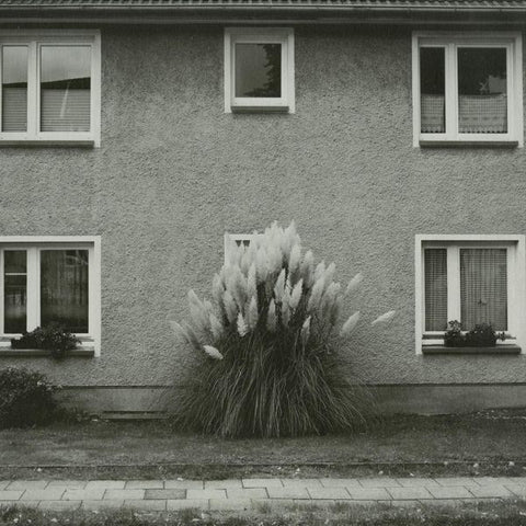 Timboletti - Hintersee Acker Records ACKERRECORDS48
