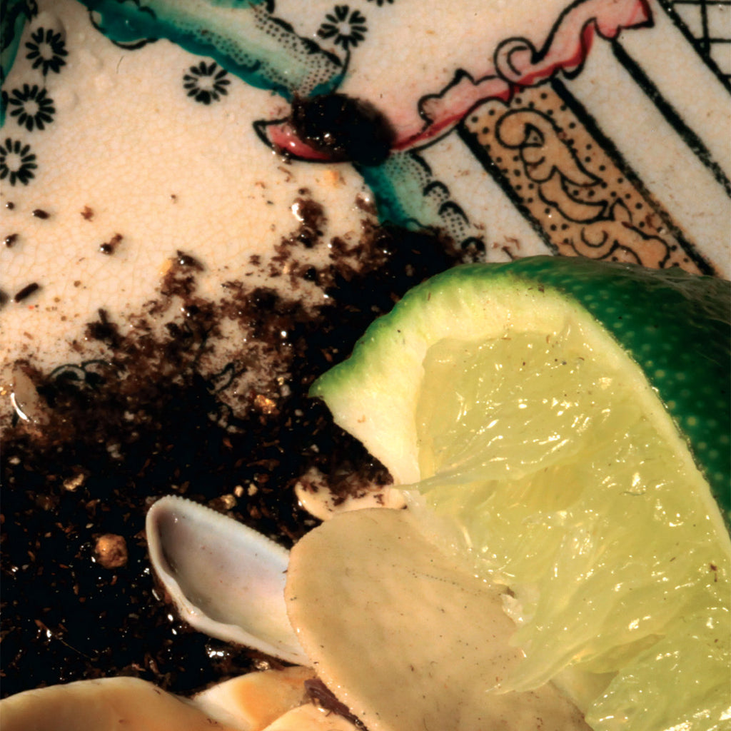 Donato Dozzy ‎– Donato Dozzy Plays Bee Mask Spectrum Spools ‎– SP 029CD