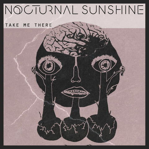 Nocturnal Sunshine ‎– Take Me There Label: I/AM/ME ‎– IAMME008V